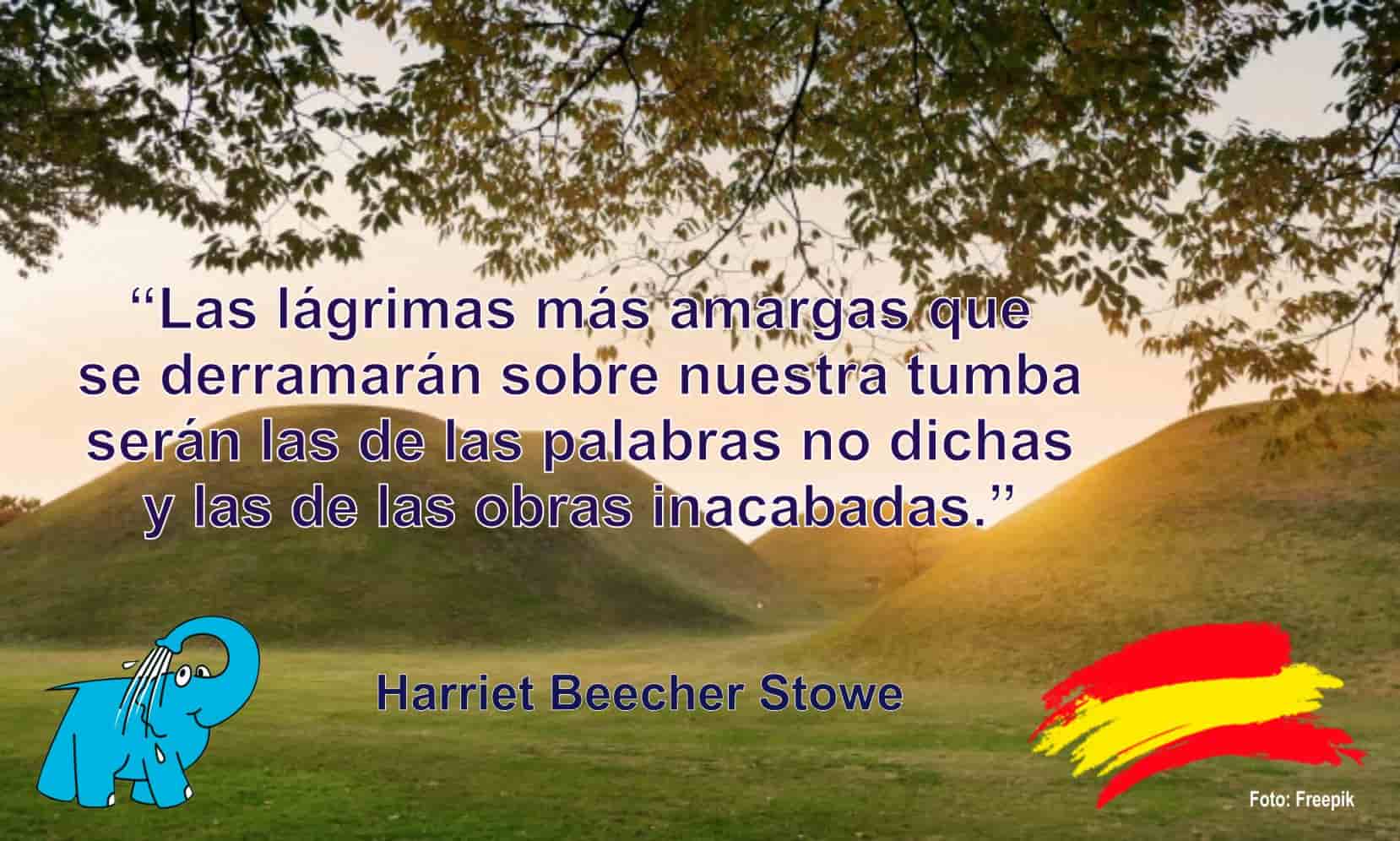 Las lágrimas más amargas que se derramarán sobre nuestra tumba serán las de las palabras no dichas y las de las obras inacabadas.